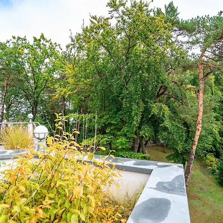 Darja, App 15 Heringsdorf (Usedom)